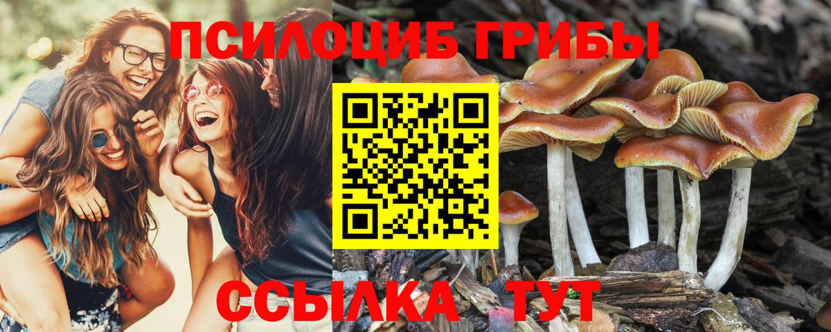 Псилоцибиновые грибы Magic Shrooms Гулькевичи